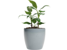 Maceta amalfi premium n°22