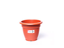 Florida Maceta Etrusca N24