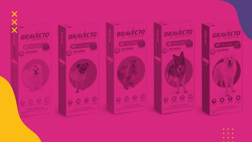 Bravecto® - Power Gold