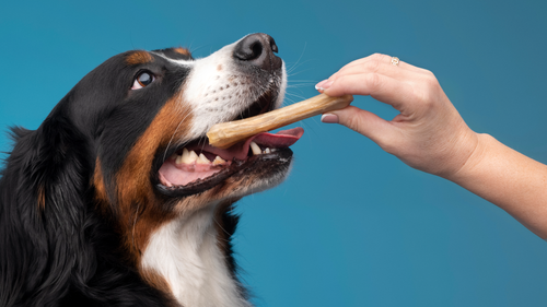 Snacks y cuidado oral