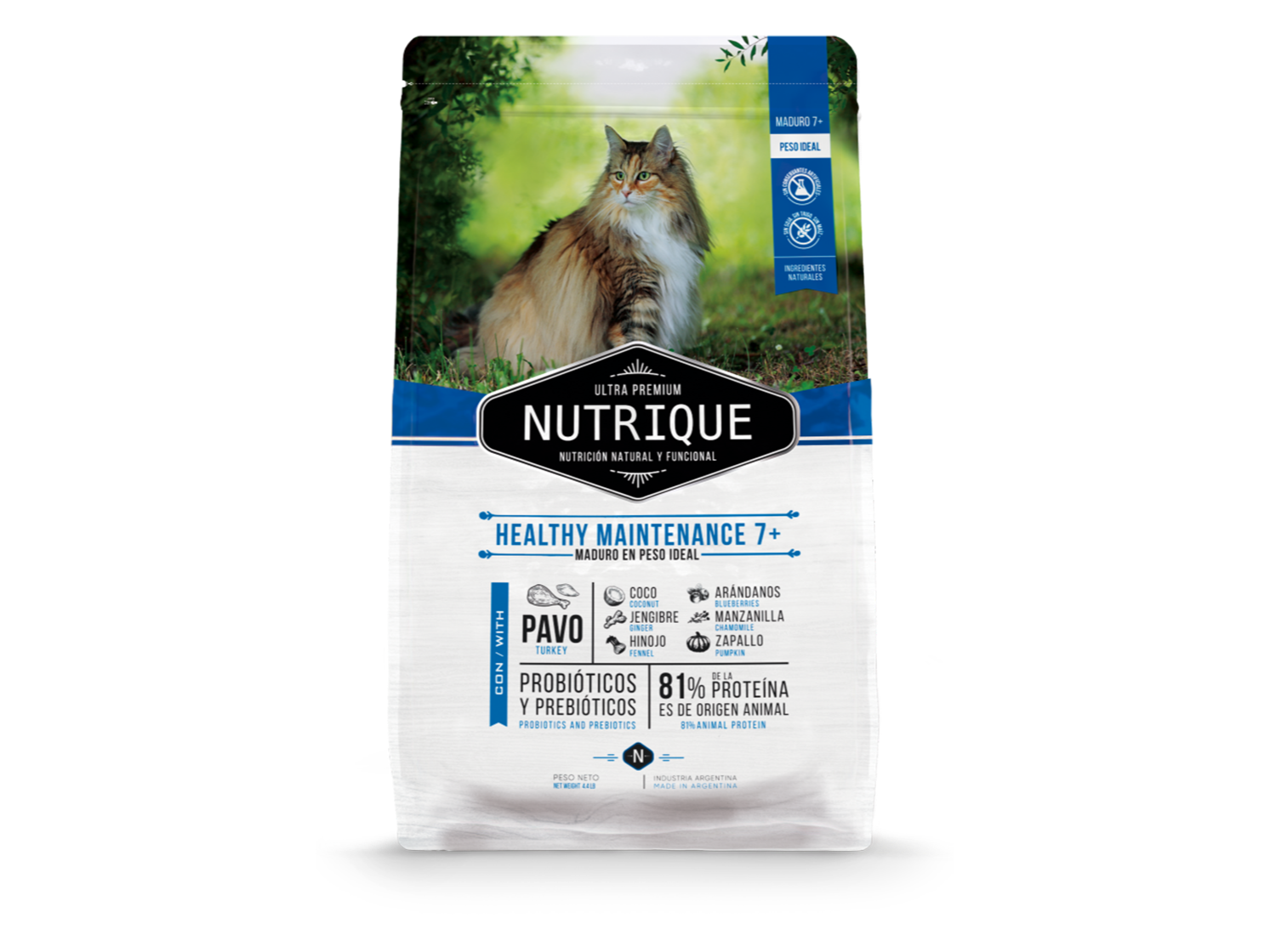 Nutrique gato senior