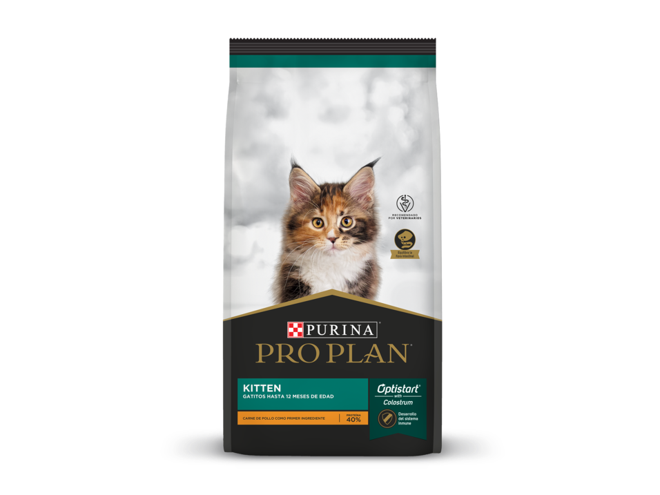 Proplan gato cachorro (Kitten)