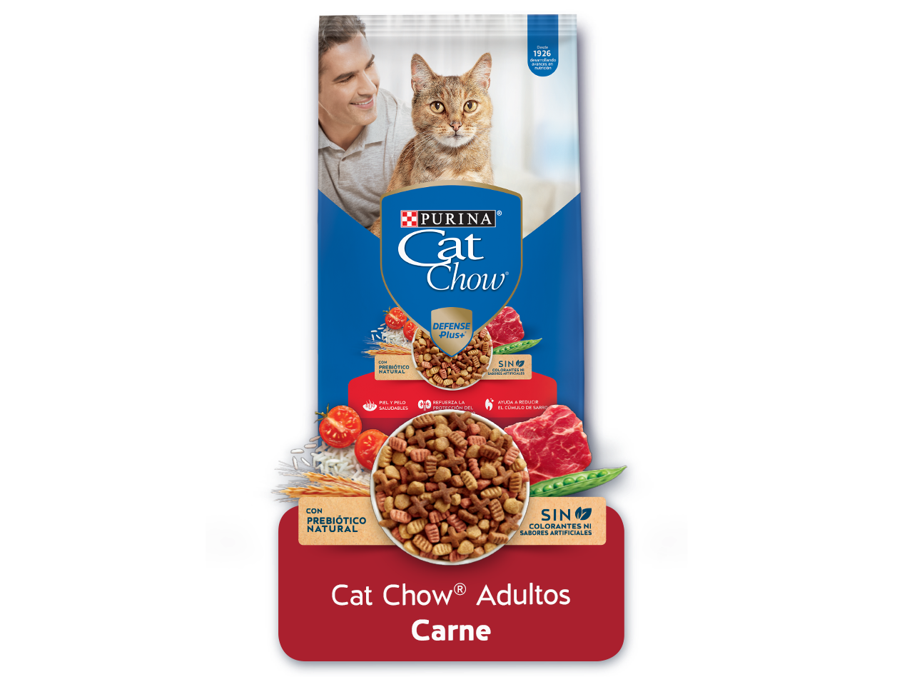 Cat Chow gato adulto sabor carne