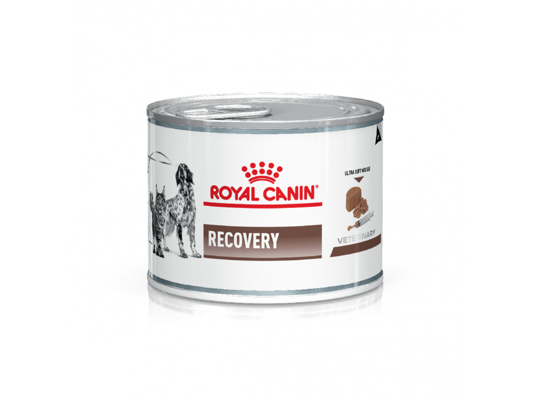 Royal Canin Recovery (Lata 195gr)