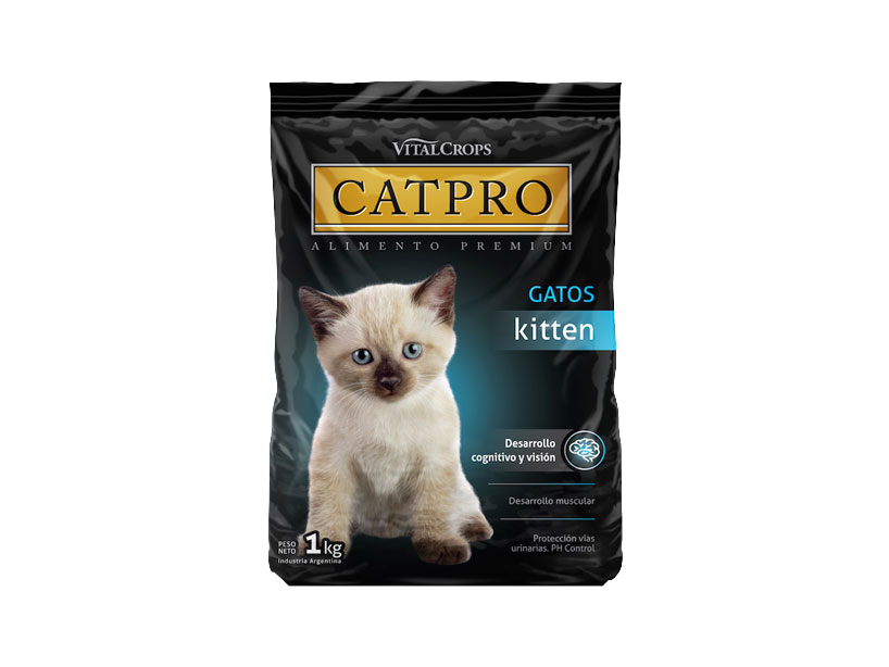 CATPRO kitten