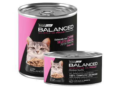 VITALCAN BALANCED SOUFFLE GATO - LATA 85 GR