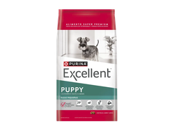 EXCELLENT perro cachorro razas pequeñas