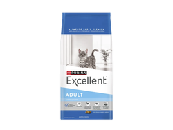 Excellent gato adulto
