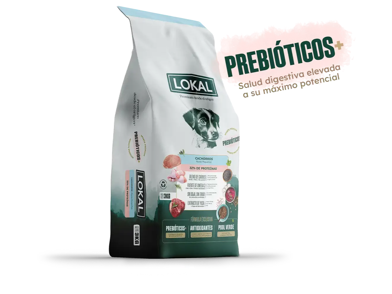 LOKAL PERRO CACHORRO RAZA PEQUEÑA