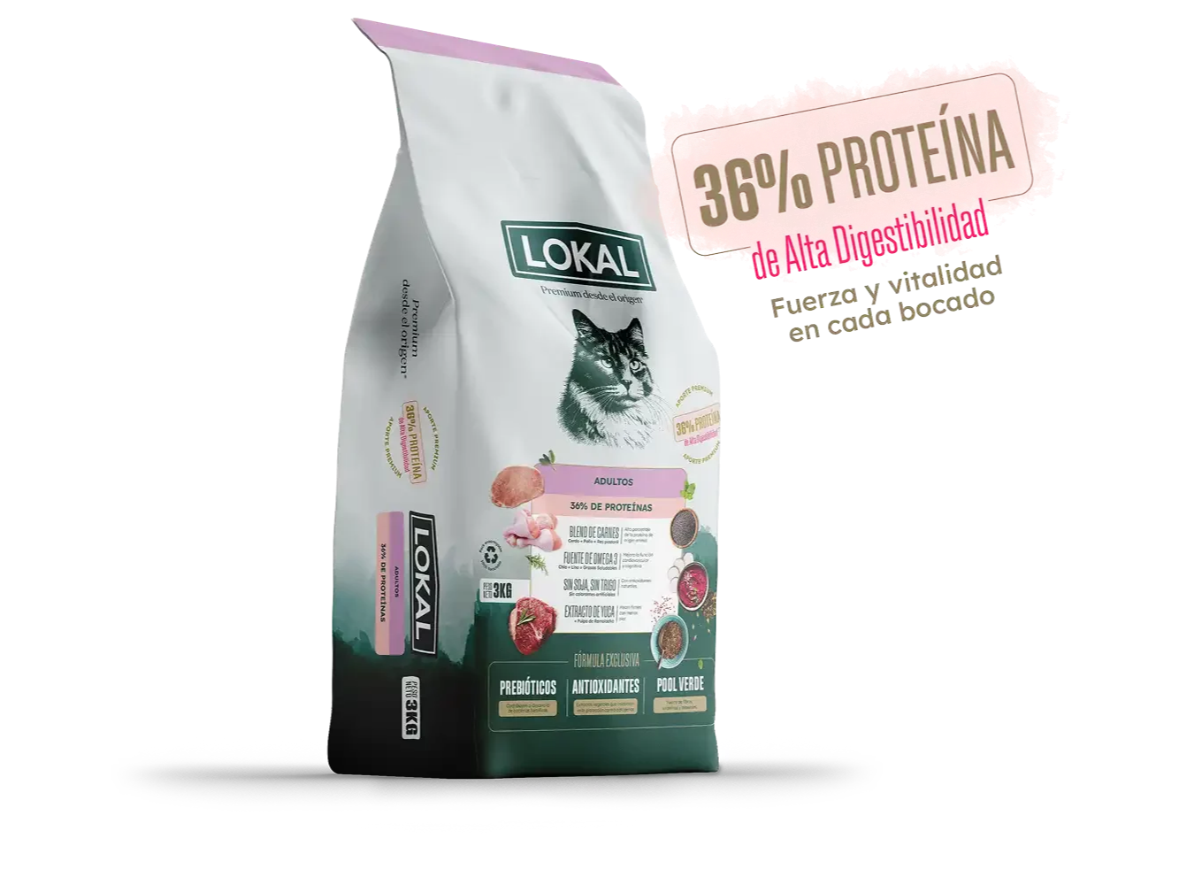 LOKAL GATO ADULTO