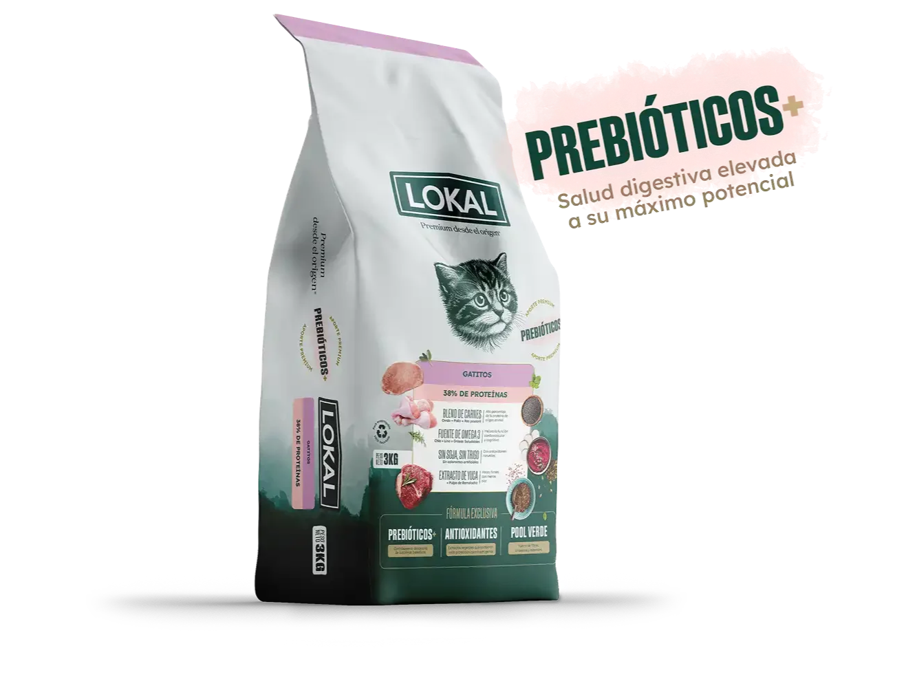 LOKAL GATO CACHORRO 3 KG