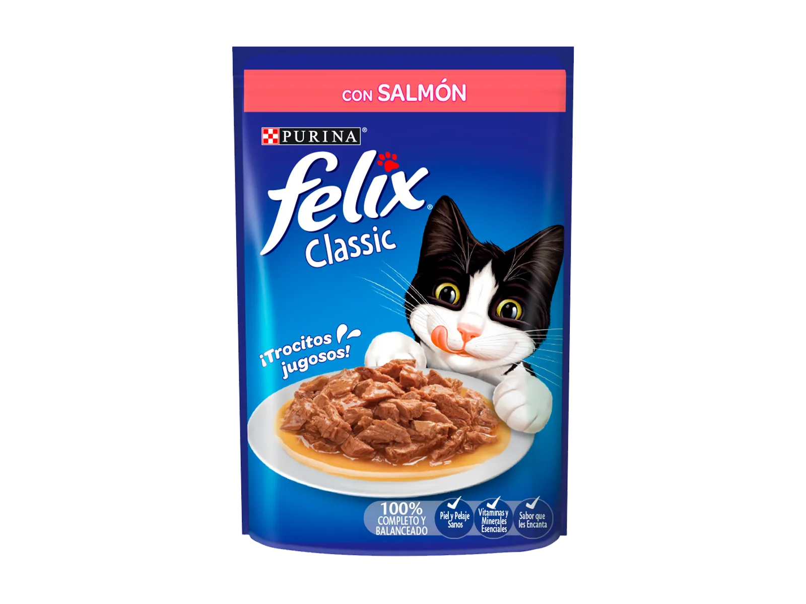 PURINA FELIX SOBRE 85 GR