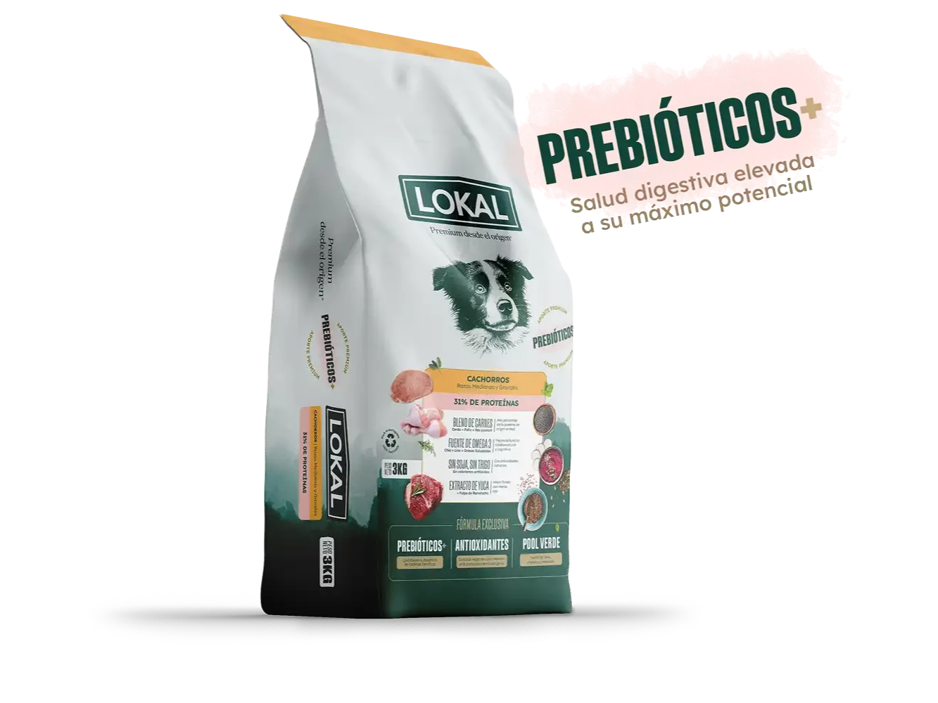 LOKAL PERRO CACHORRO RAZA MEDIANA Y  GRANDE