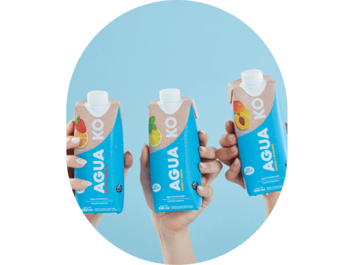 AGUA INFUSIONADA KO X 500 ML