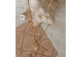 Detente Microzirconias