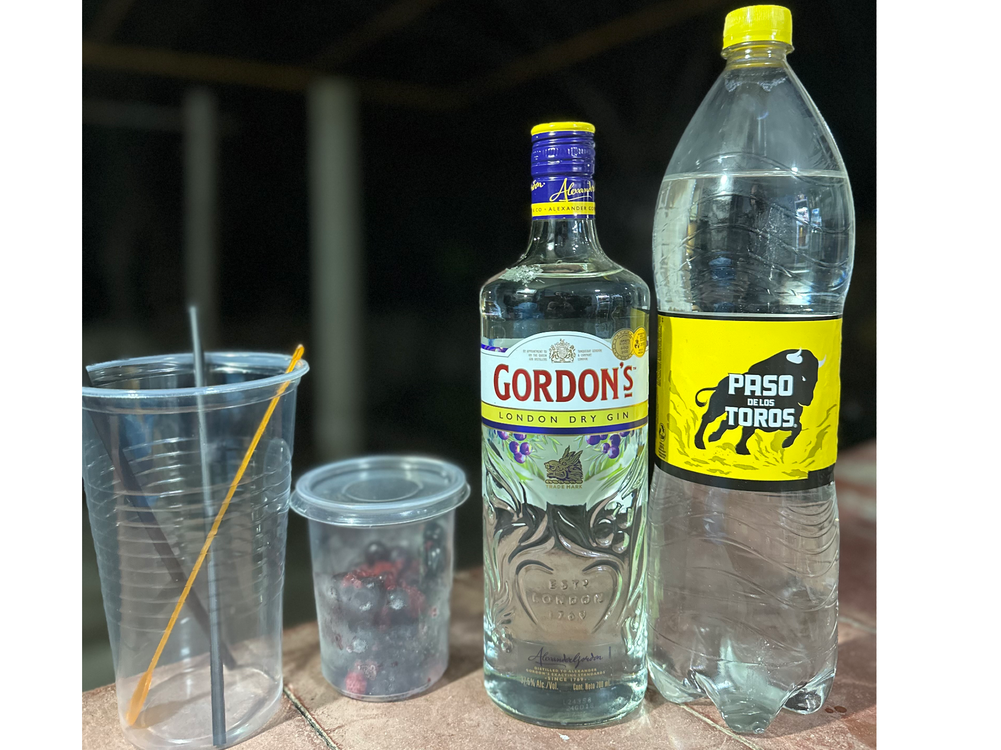 Gin + Tónica + Berries