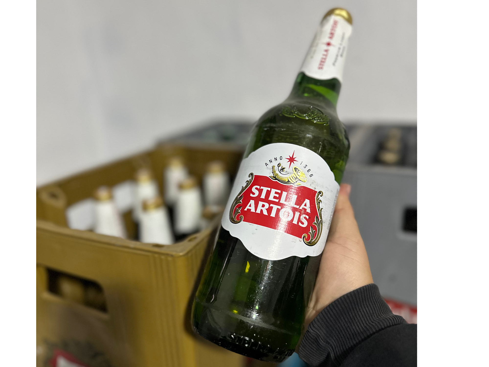 Stella Artois
