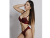 CONJUNTO ARMADO