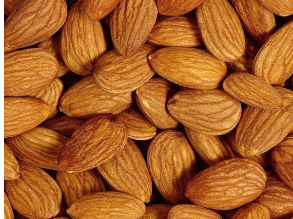 Almendras de Costa Almacén