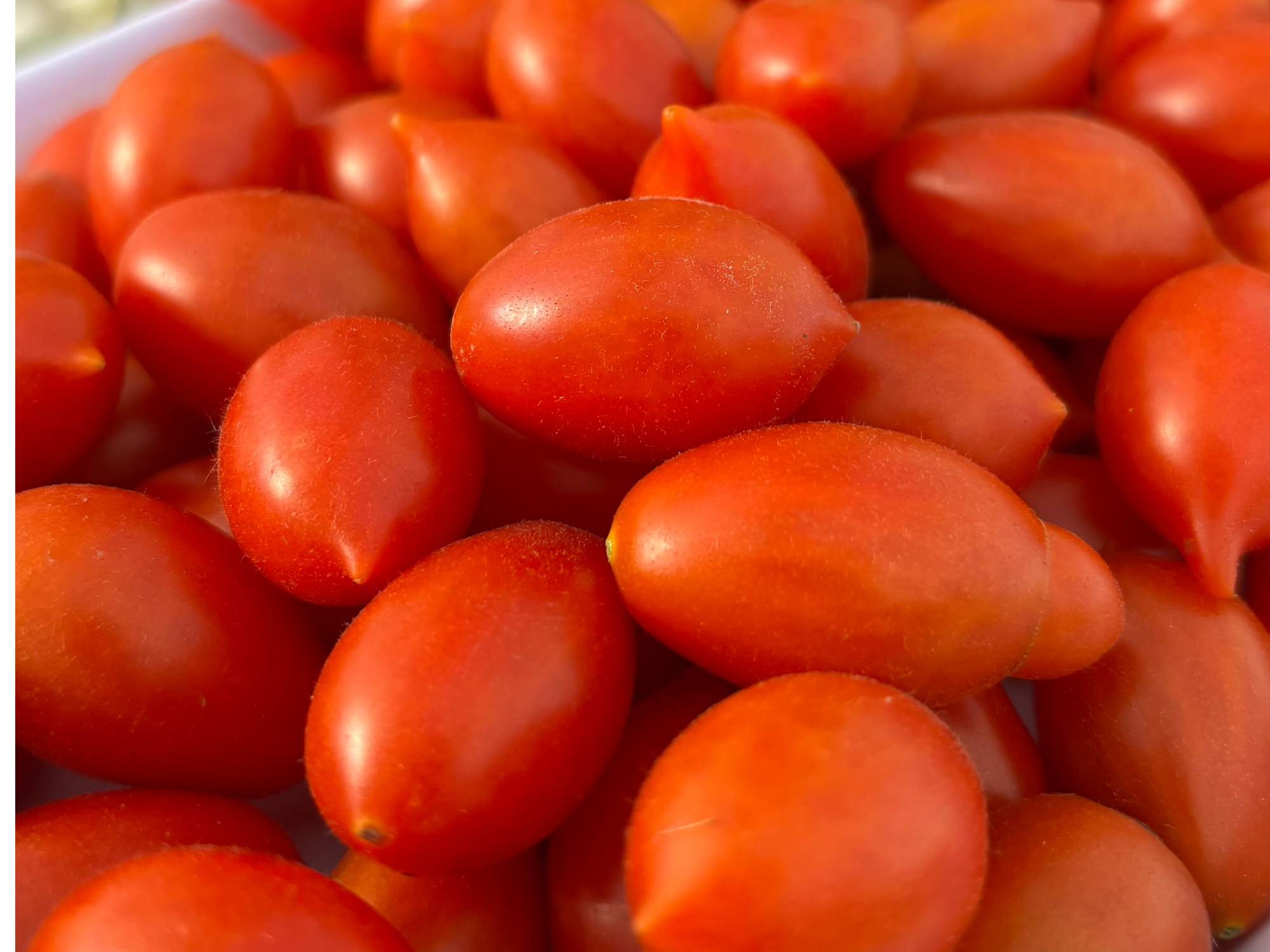 Cherrys