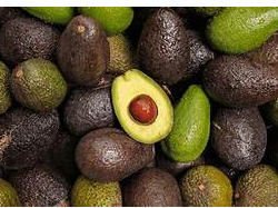 PALTA
