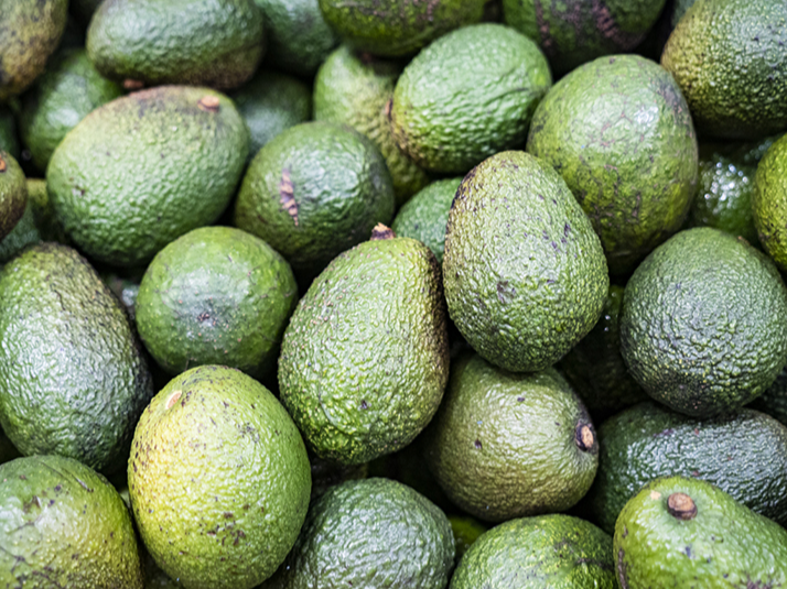 PALTA NACIONAL