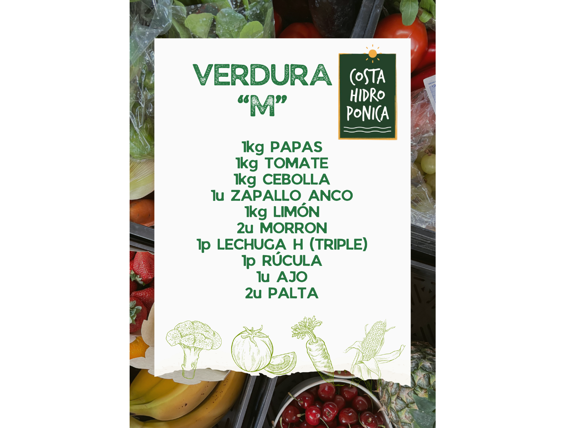 VERDURA "M"