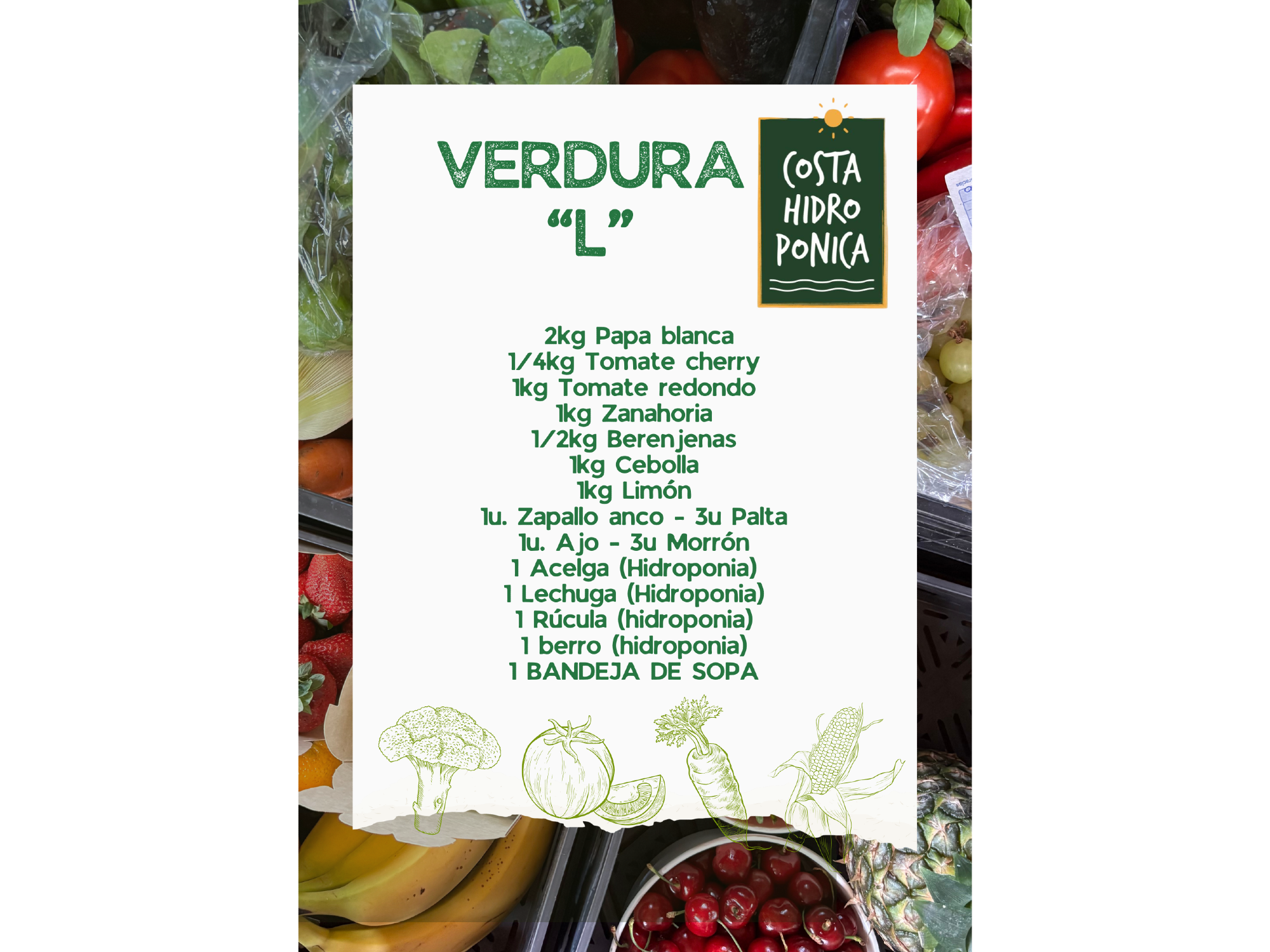 VERDURA "L"