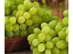 UVA BLANCA (sin semilla)