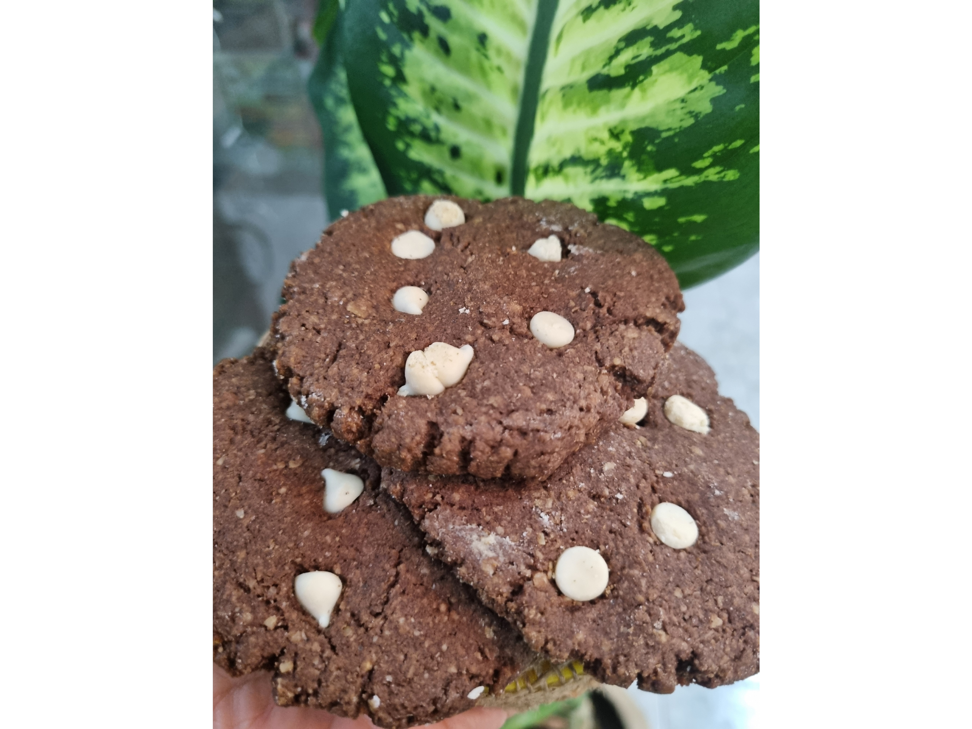 Galletas de Algarroba