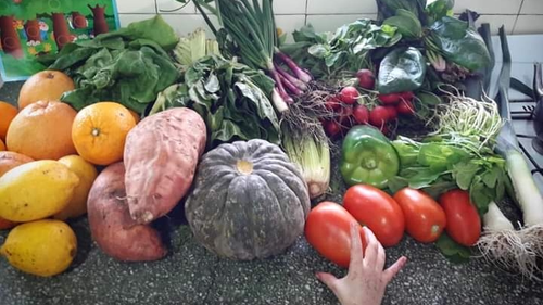 🍅🥬Verdura Agroecológica