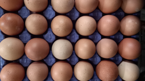 🍯🥚🧉Almacén - Huevos- Yerbas