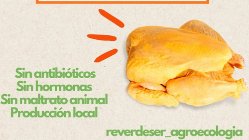 Pollo de campo congelado