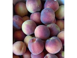 🍑Durazno orgánico (A confirmar)