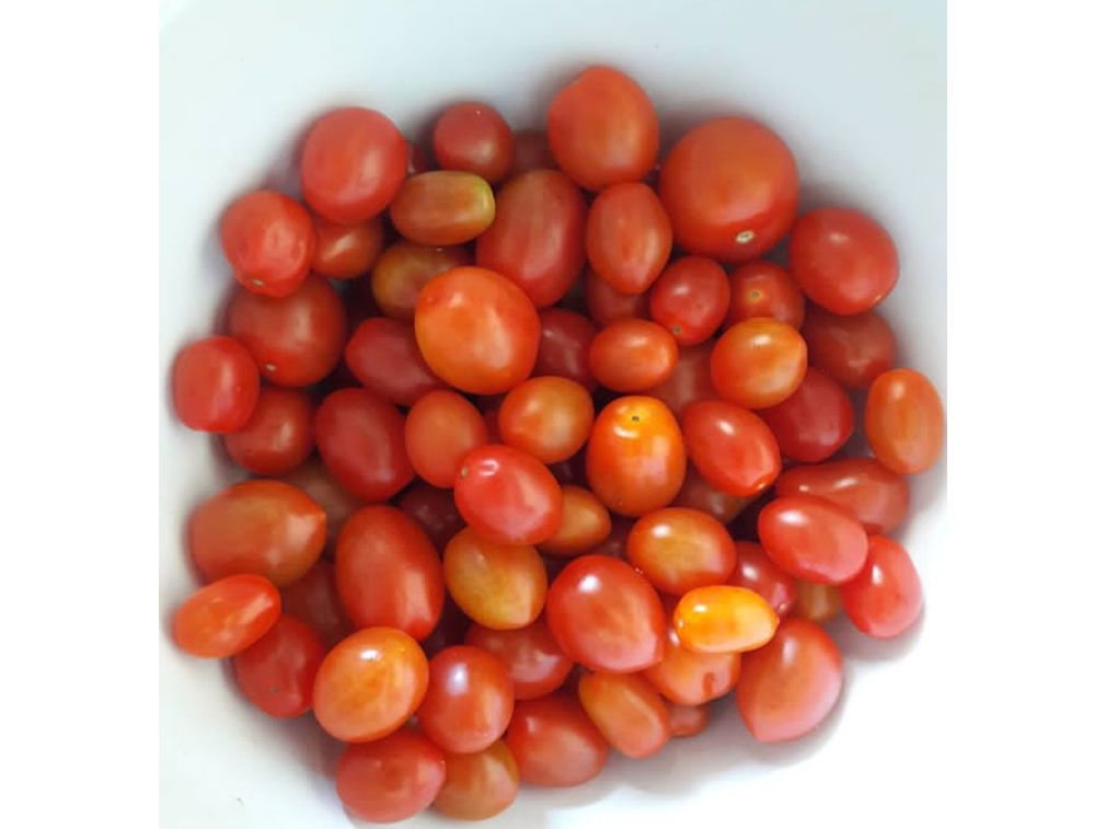 Cherry Agro ( A confirmar)