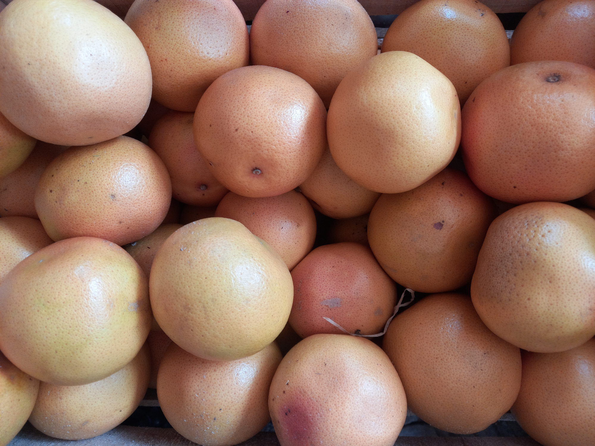 Pomelo Agro📣