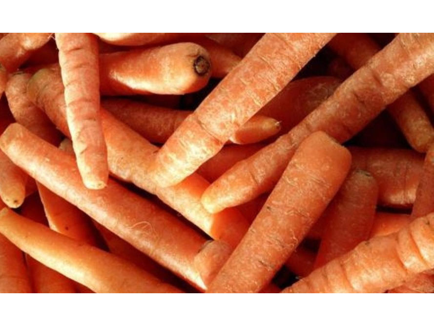 🥕 Zanahoria agro