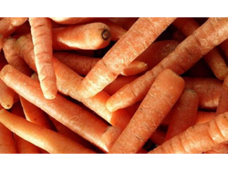 🥕 Zanahoria agro