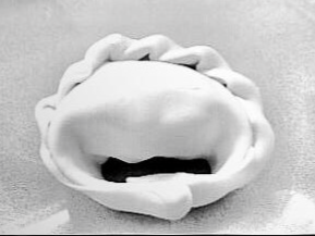 Zapallitos, Berenjenas y queso