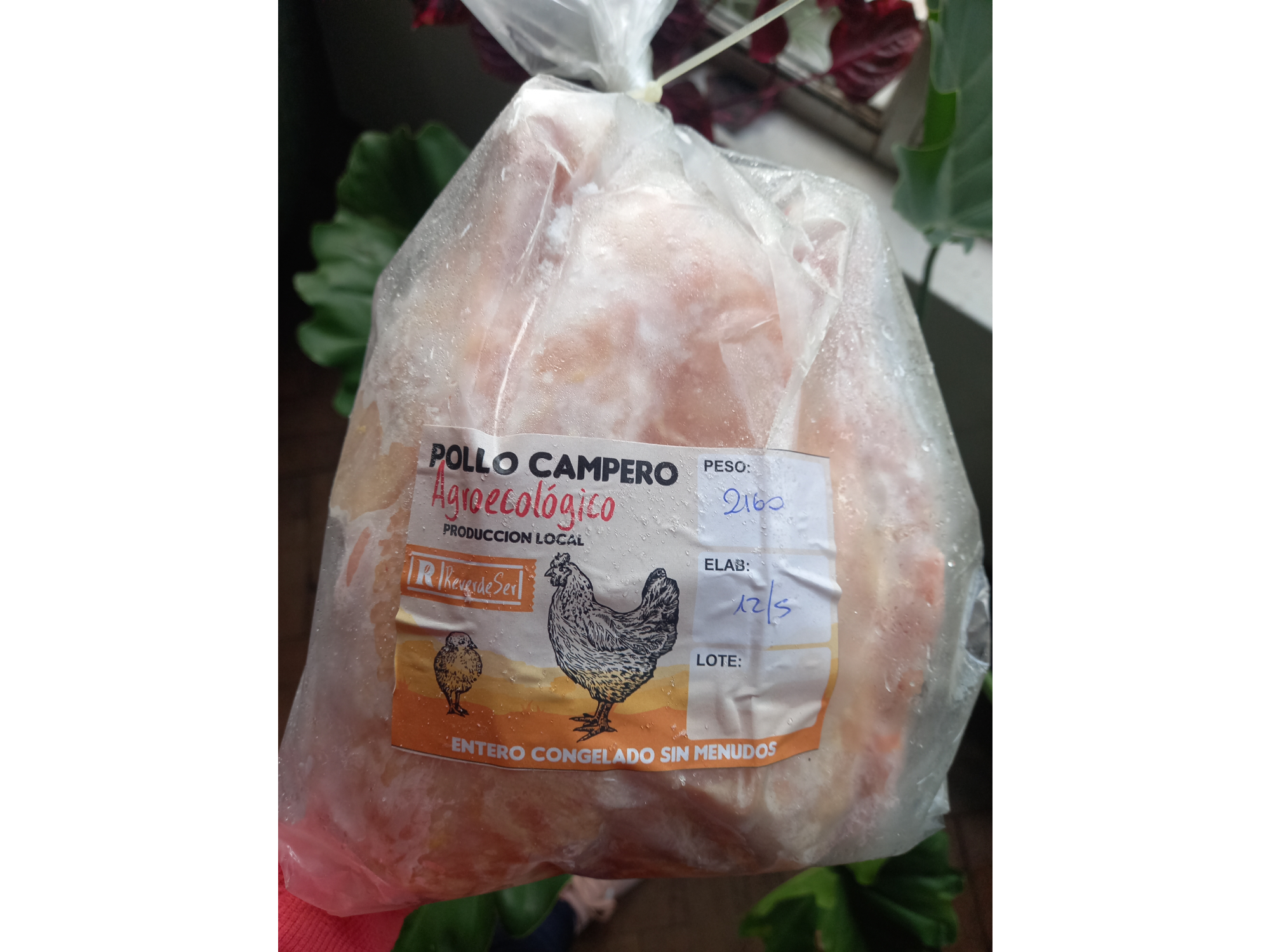 Pollo de campo agroecológico