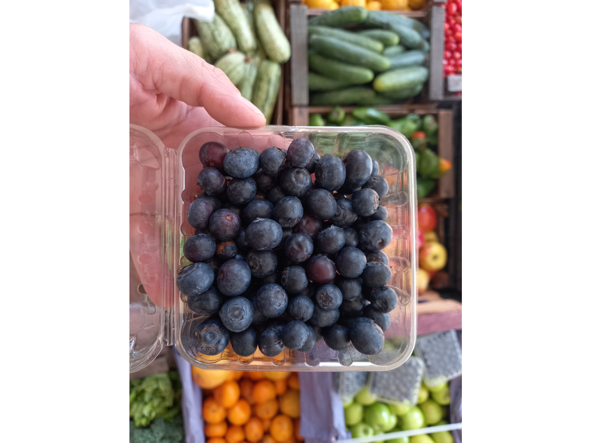 Arándanos orgánicos 📣