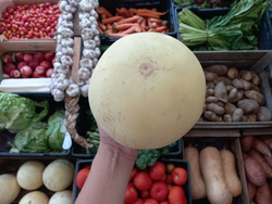 🍈Melón Ecotipa 1.5k (A confirmar)📣