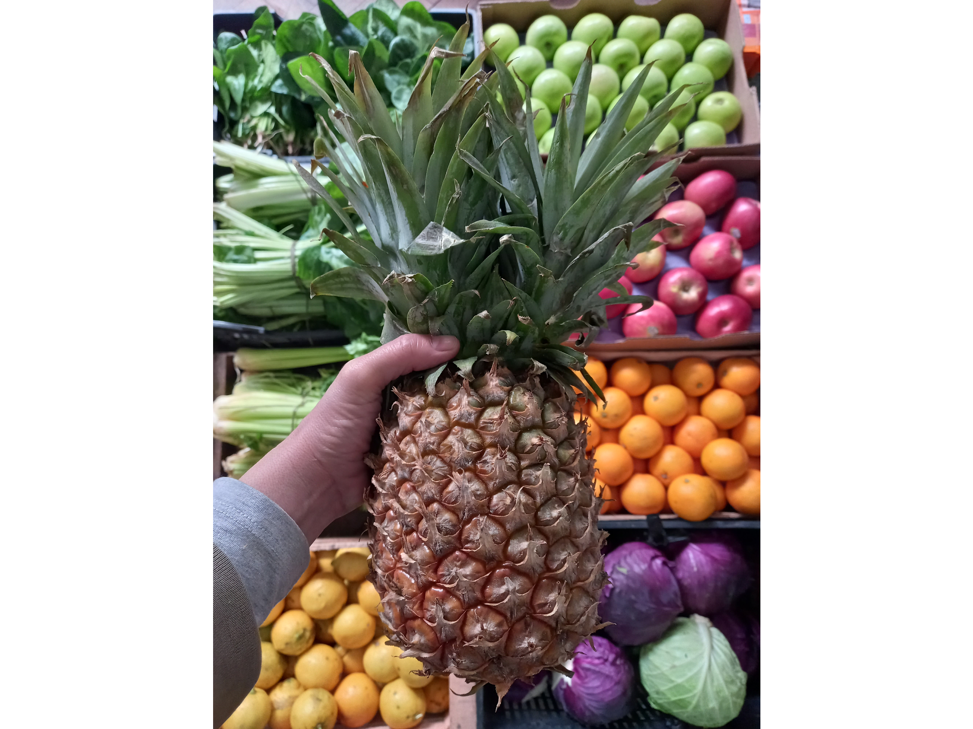 🍍Piña orgánica 2k (aprox)