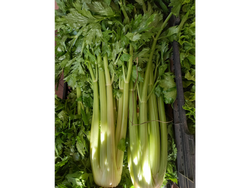 Apio Agro