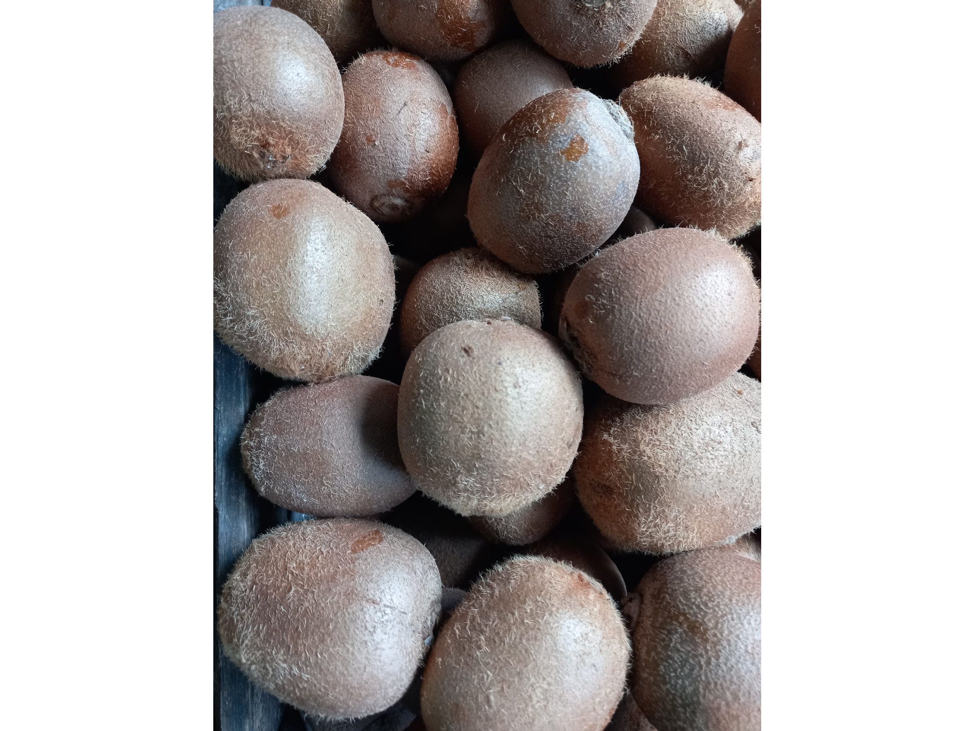 🥝Kiwi Agro 500gr
