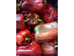 🫑Morrón rojo agro 250gr