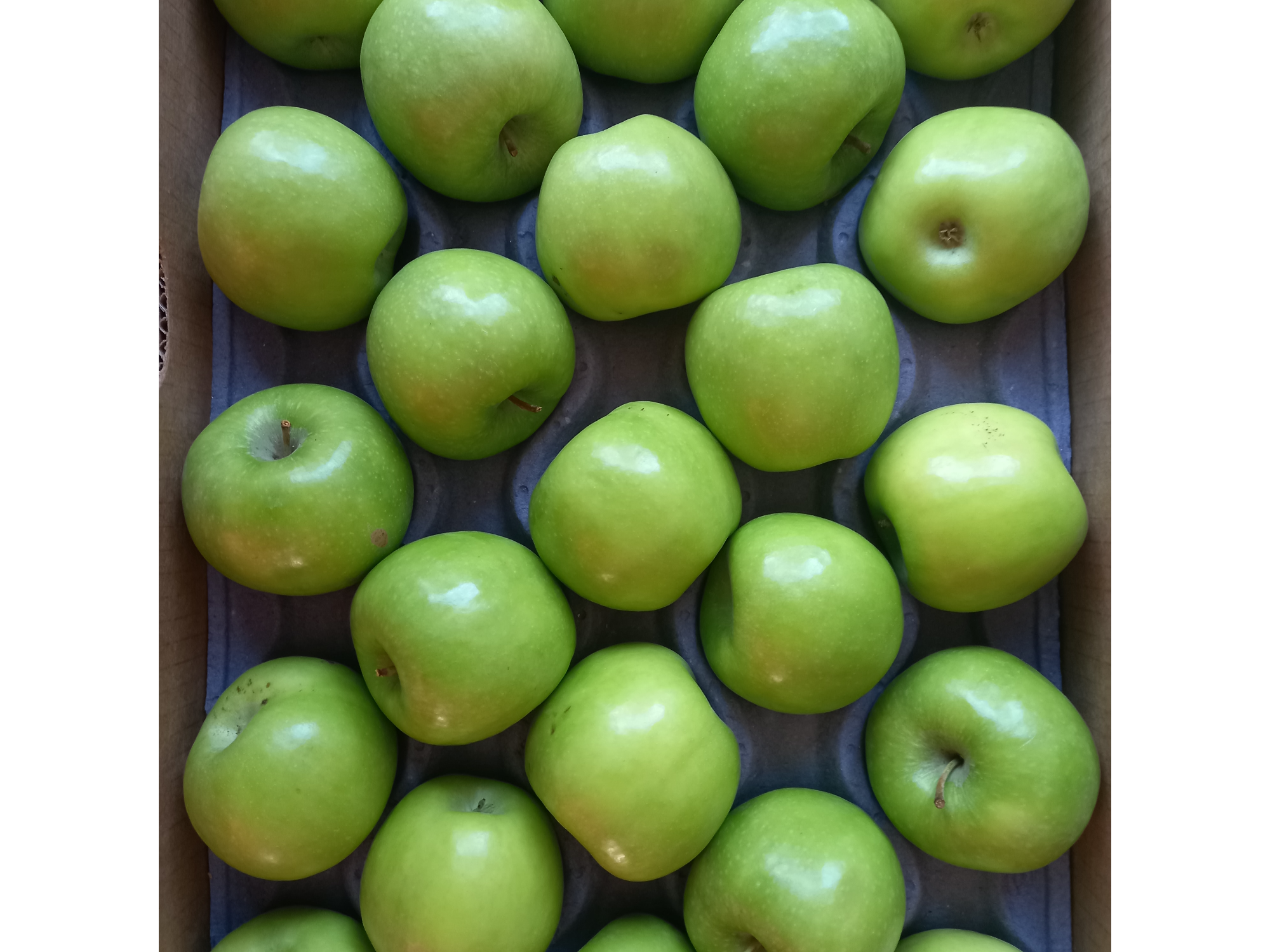 🍏Manzana Granny agro