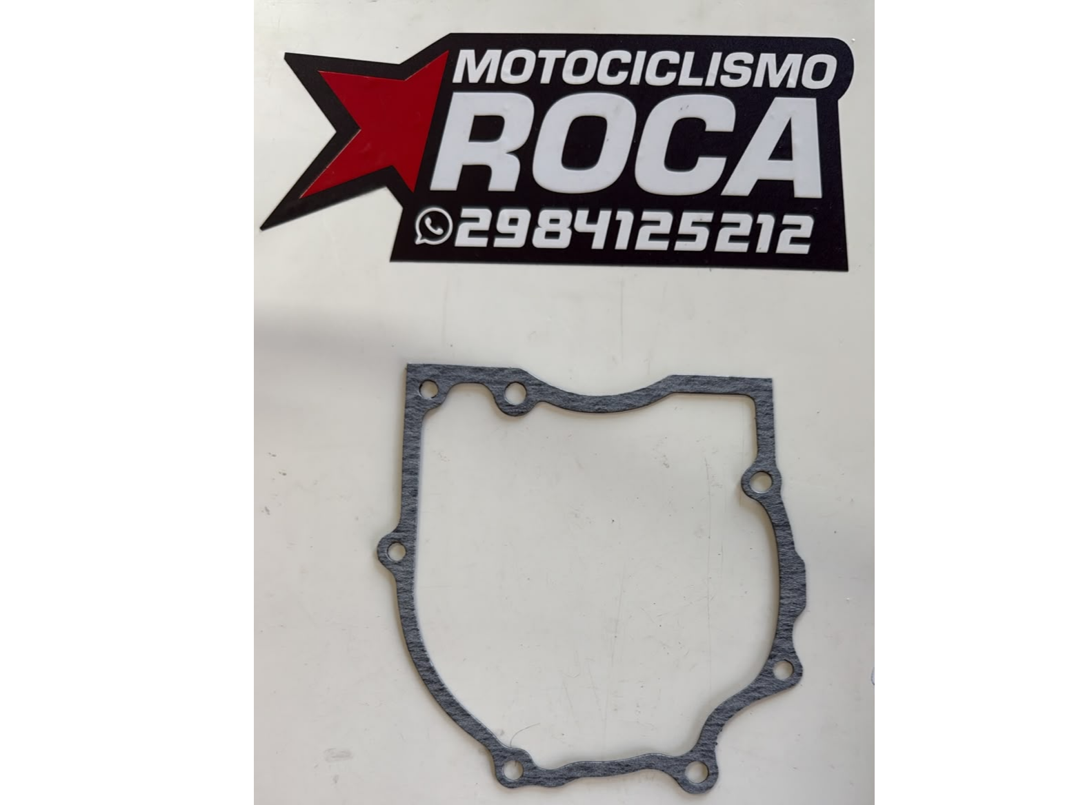 (14) JUNTA ALTERNADOR PATAGONIA EAGLE 250