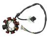 ESTATOR MOTOMEL DAKAR/KAYAK 200 LUBA