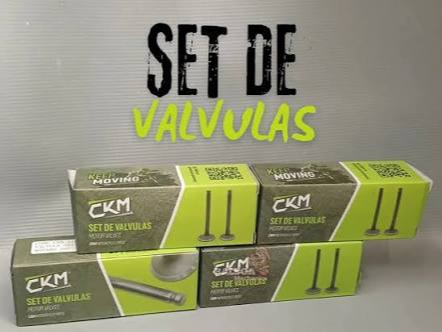(15) JGO VALVULAS MOTARD 200